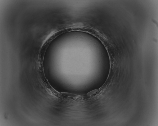 X0000092311400200710051230