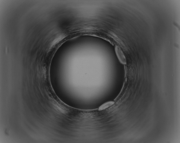 X0000092311402200710051230