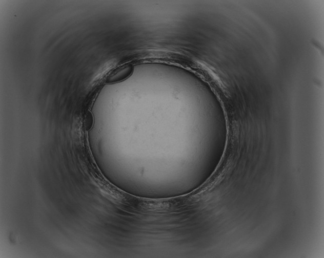 X0000092311403200710051230