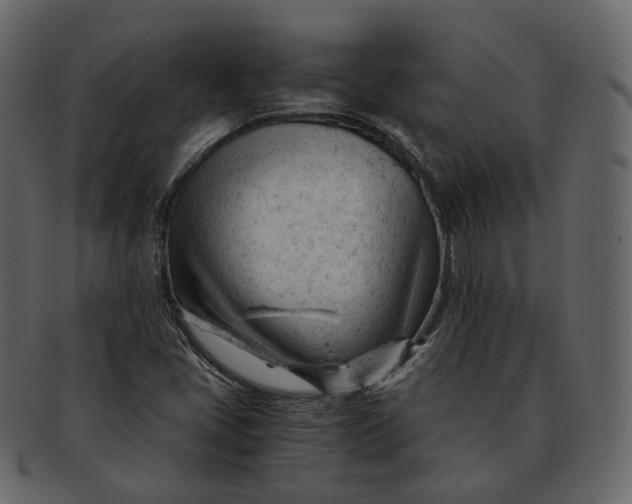 X0000092311405200710051230