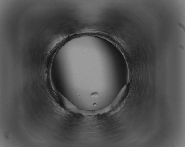 X0000092311406200710051230
