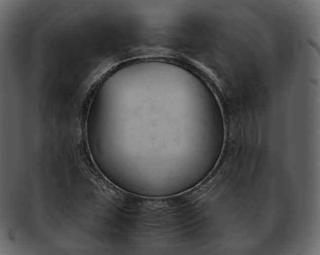X0000092311407200710051230