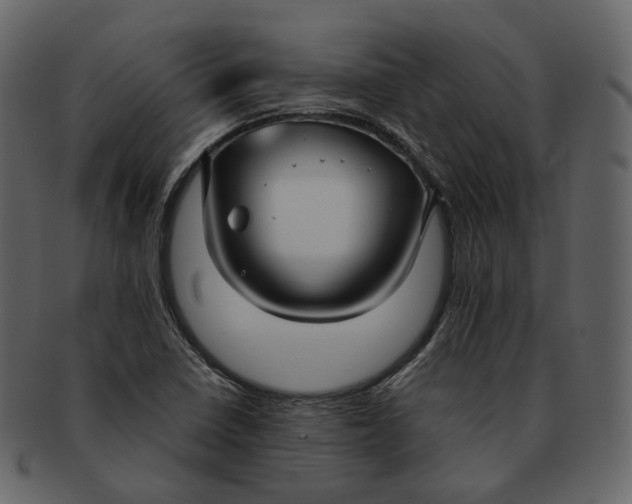X0000092311410200710051230