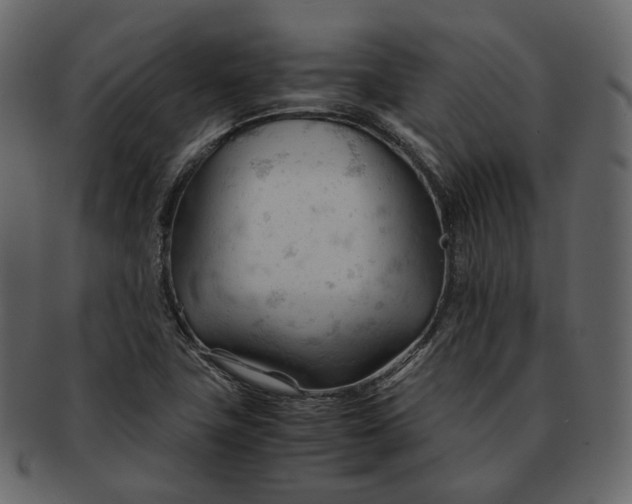 X0000092311411200710051230