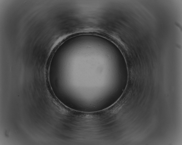 X0000092311412200710051230