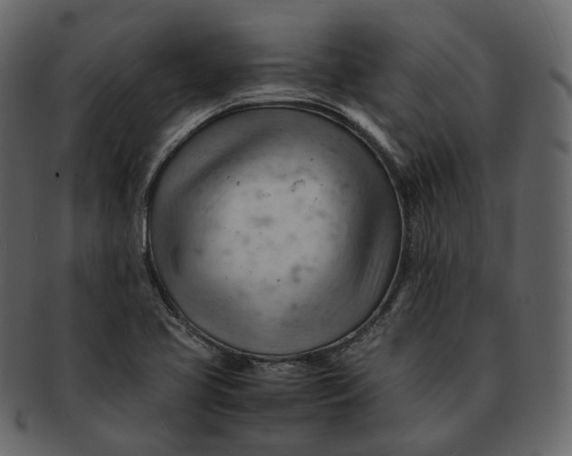 X0000092311413200710051230