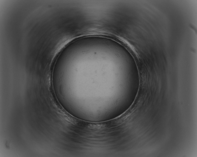 X0000092311415200710051230