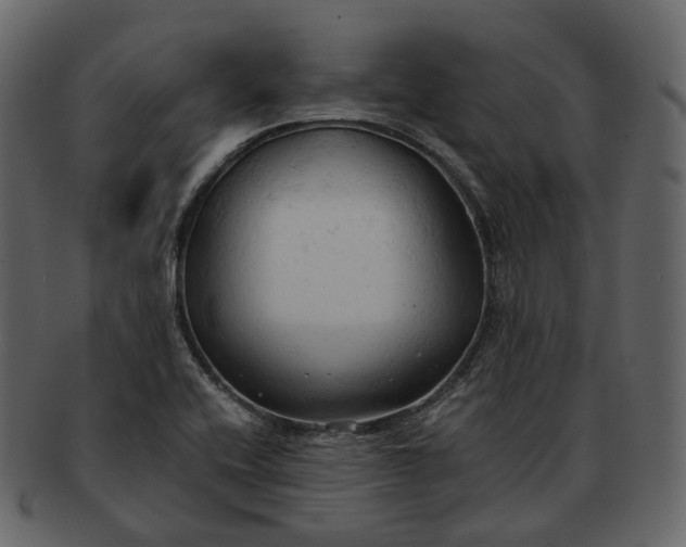 X0000092311416200710051230