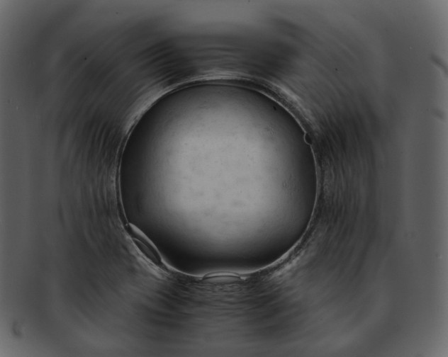 X0000092311417200710051230