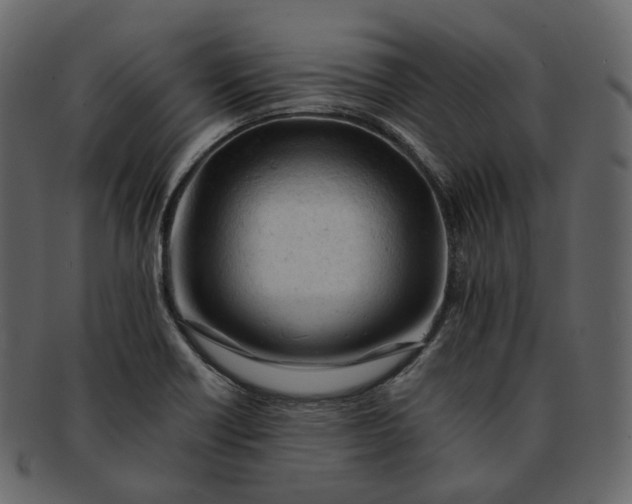 X0000092311418200710051230