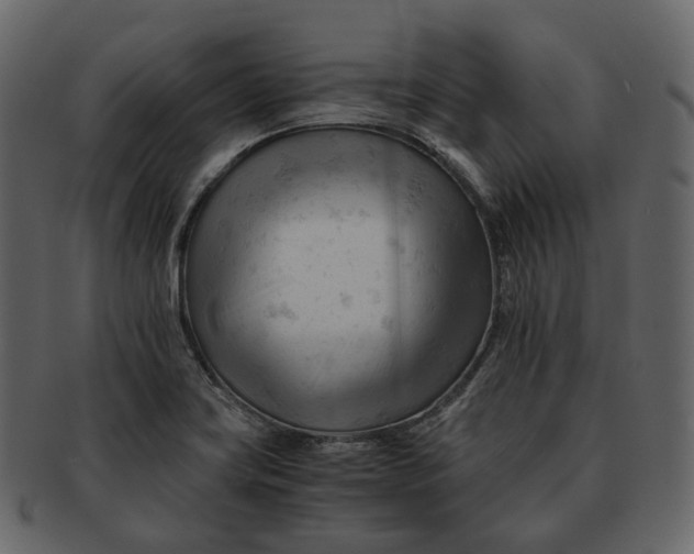 X0000092311419200710051230