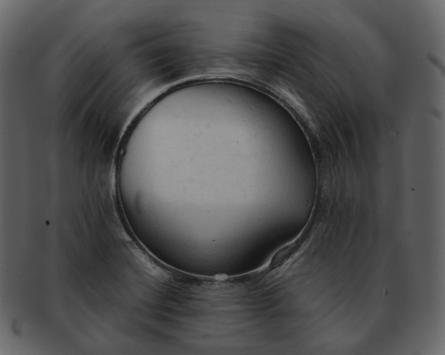 X0000092311420200710051230
