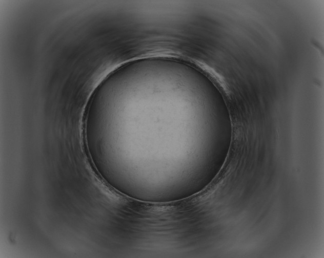 X0000092311423200710051230