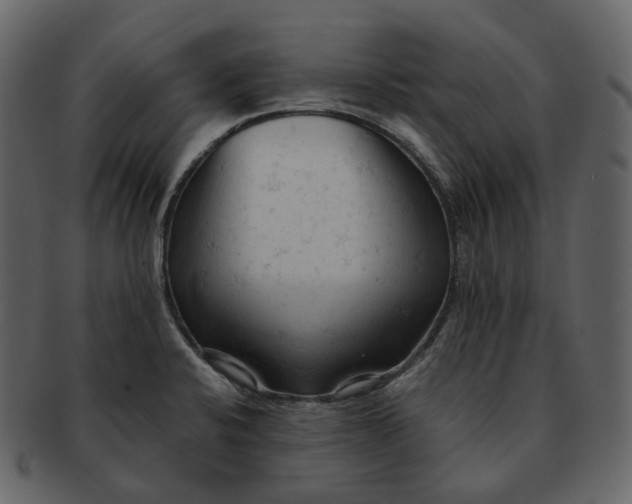 X0000092311424200710051230