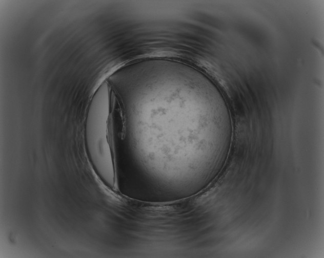 X0000092311425200710051230