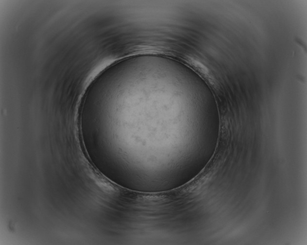 X0000092311427200710051230