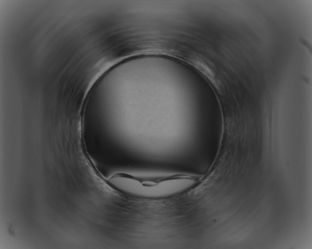 X0000092311428200710051230