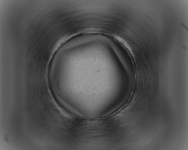 X0000092311429200710051230