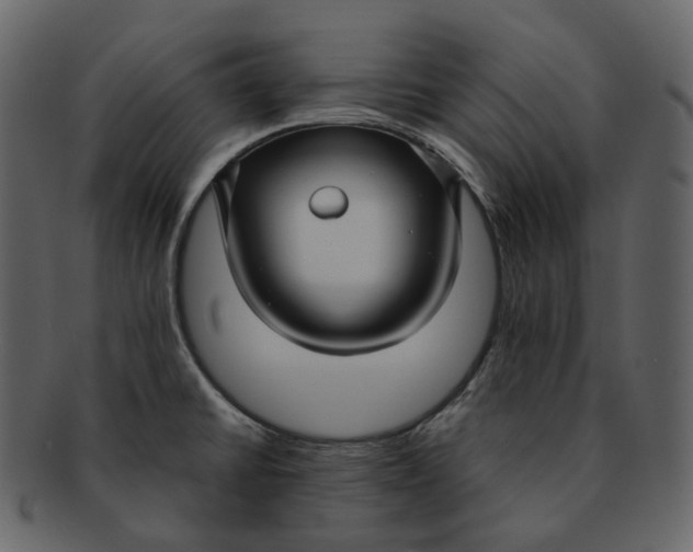 X0000092311430200710051230