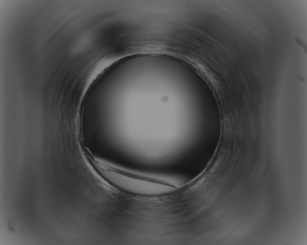 X0000092311432200710051230