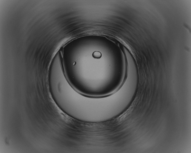 X0000092311434200710051230