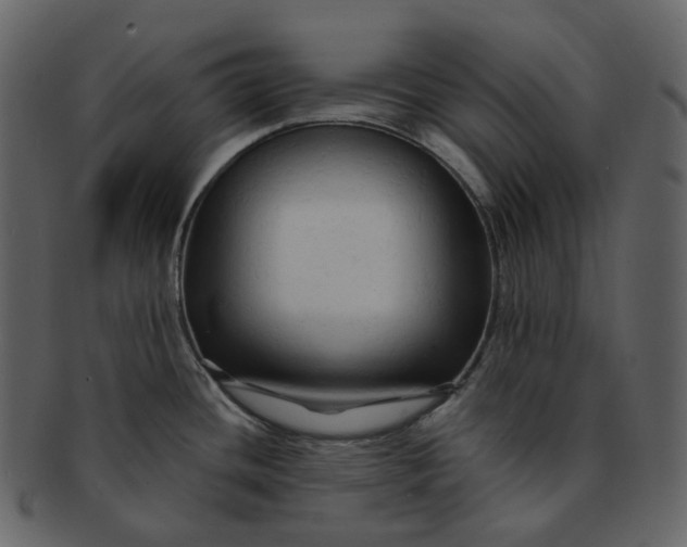 X0000092311436200710051230