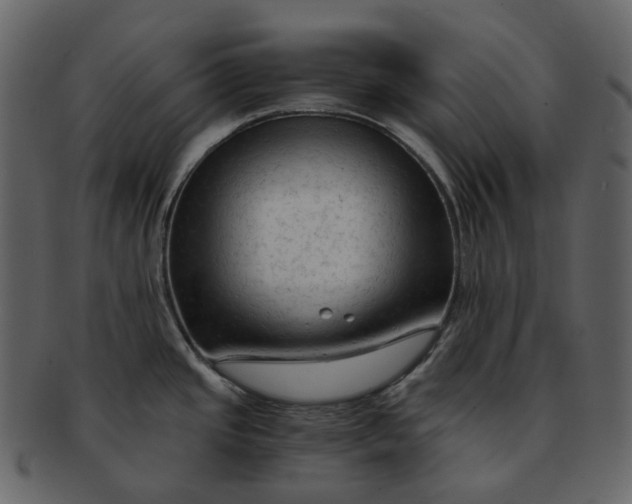 X0000092311437200710051230