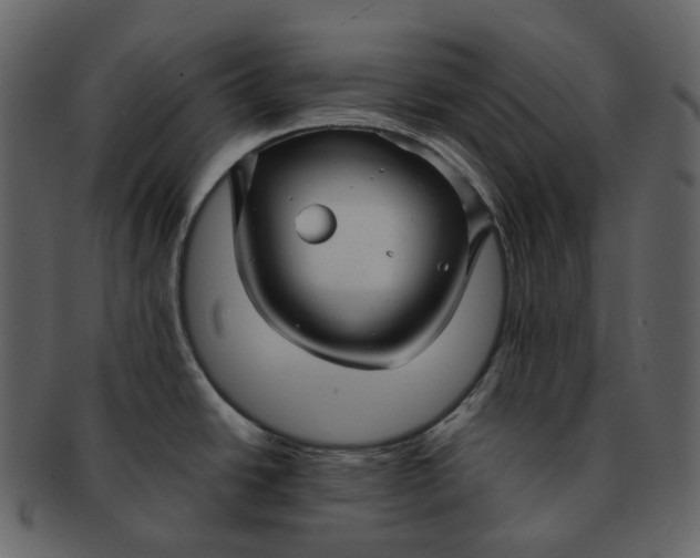 X0000092311438200710051230