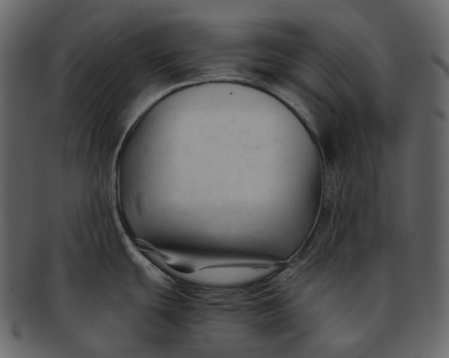 X0000092311439200710051230