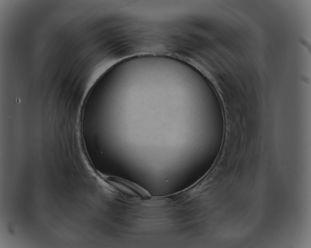 X0000092311440200710051230