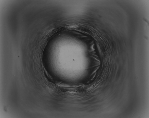 X0000092311441200710051230