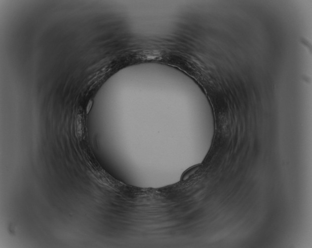 X0000092311442200710051230
