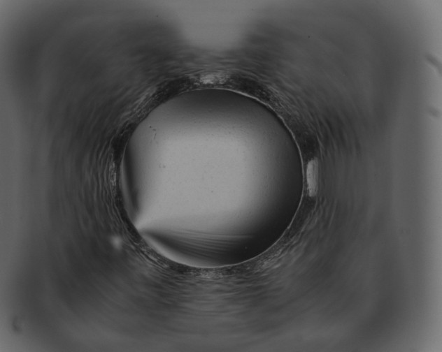 X0000092311443200710051230