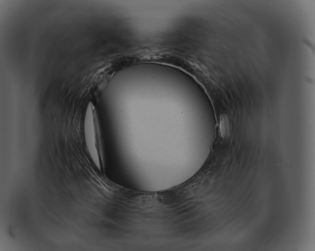 X0000092311444200710051230