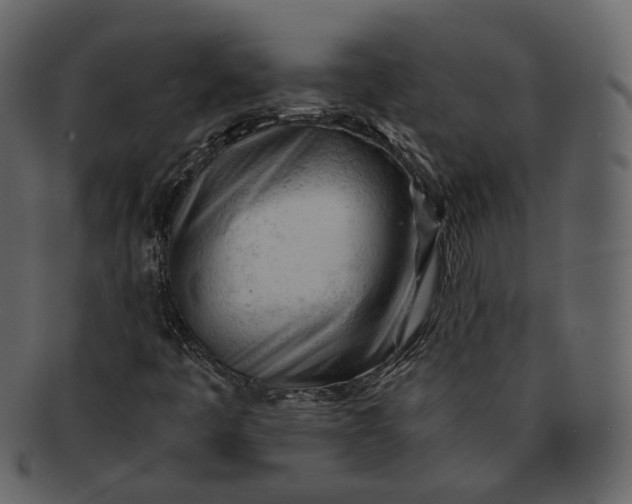 X0000092311445200710051230