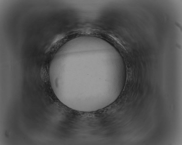 X0000092311446200710051230
