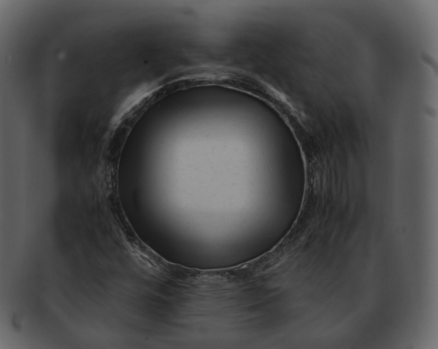 X0000092311448200710051230