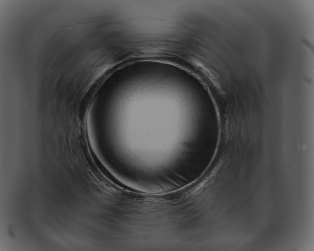 X0000092311449200710051230