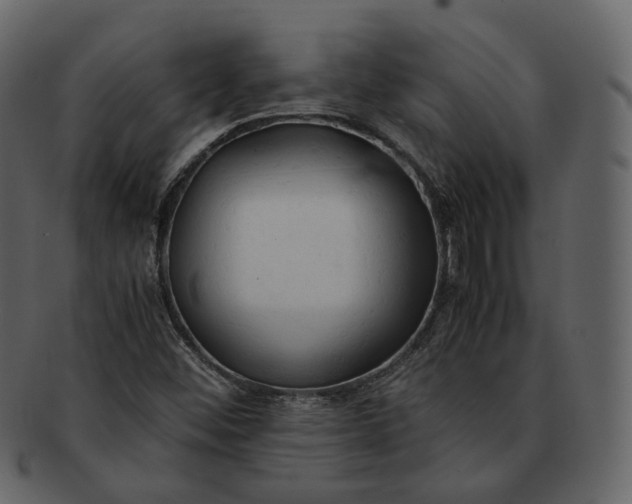X0000092311452200710051230