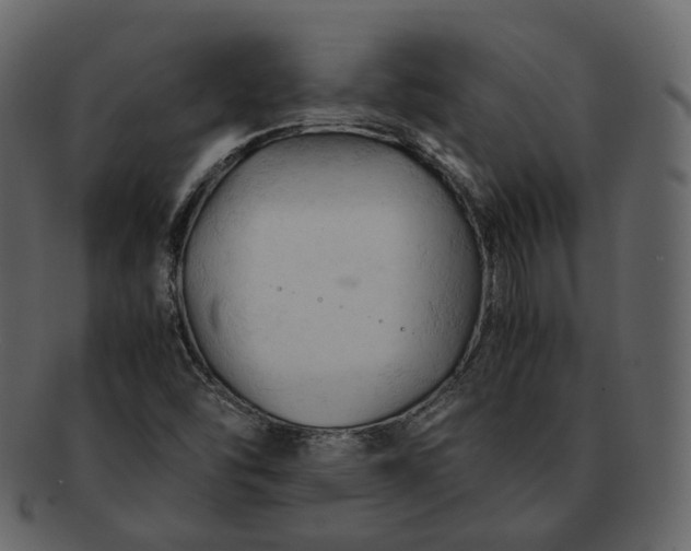 X0000092311454200710051230