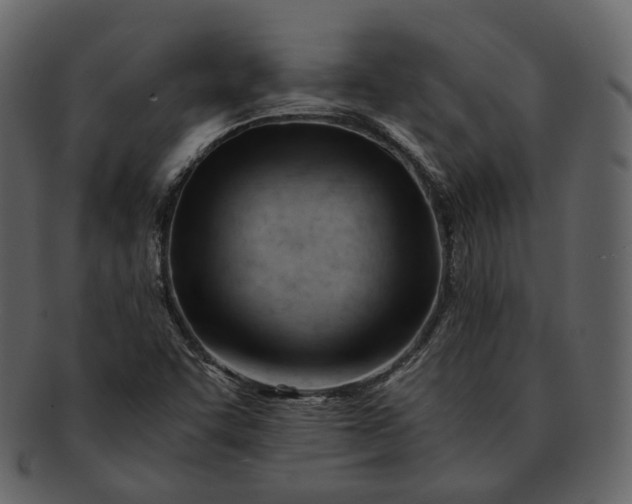 X0000092311455200710051230