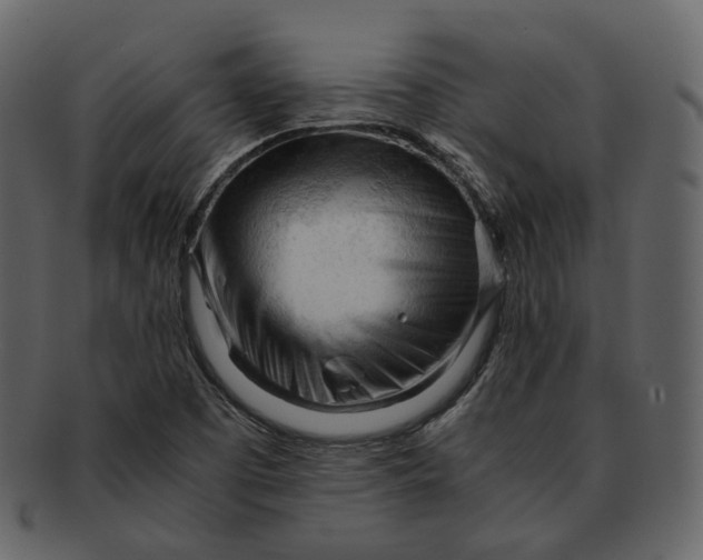 X0000092311457200710051230