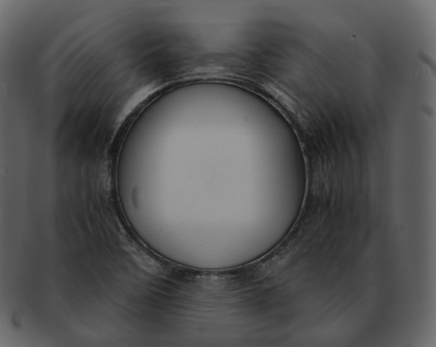 X0000092311458200710051230
