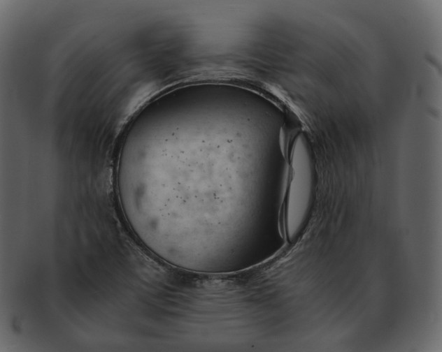 X0000092311459200710051230