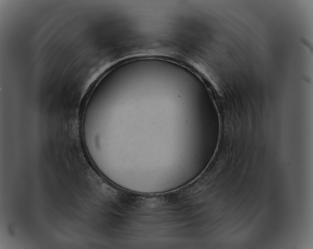 X0000092311460200710051229