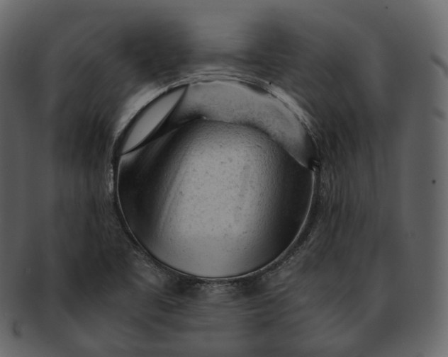 X0000092311461200710051229