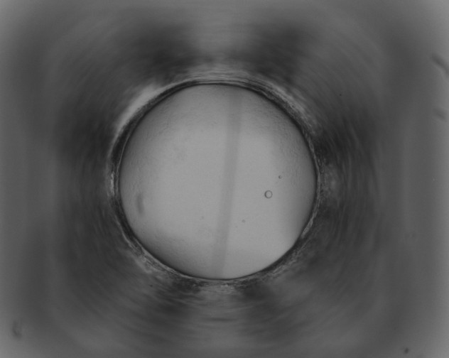 X0000092311462200710051229