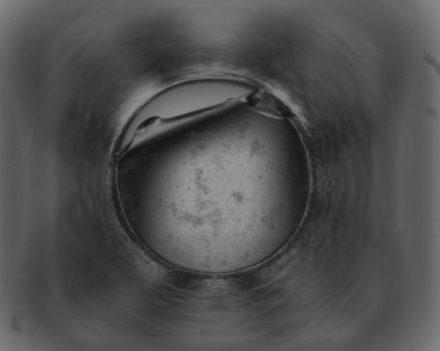 X0000092311463200710051229