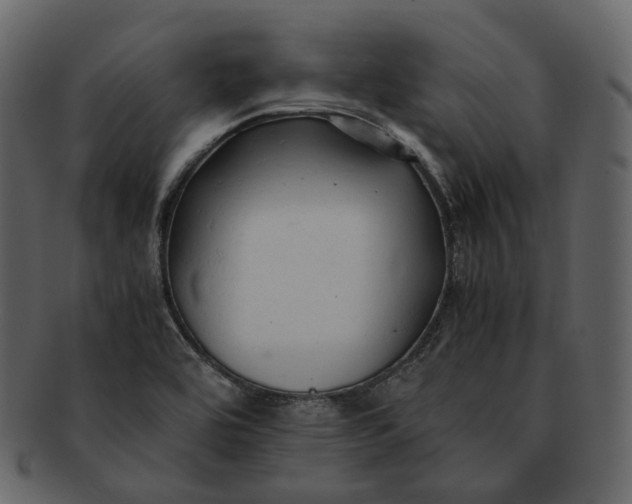 X0000092311464200710051229
