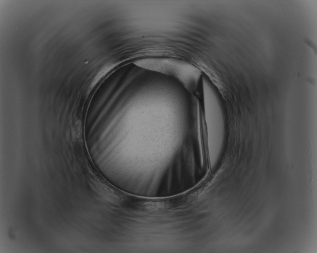 X0000092311465200710051229